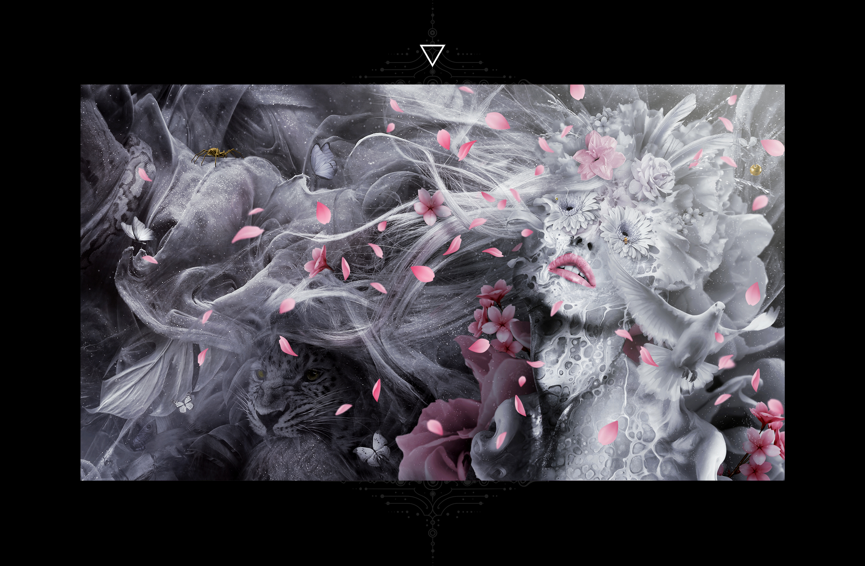 Artwork 5
